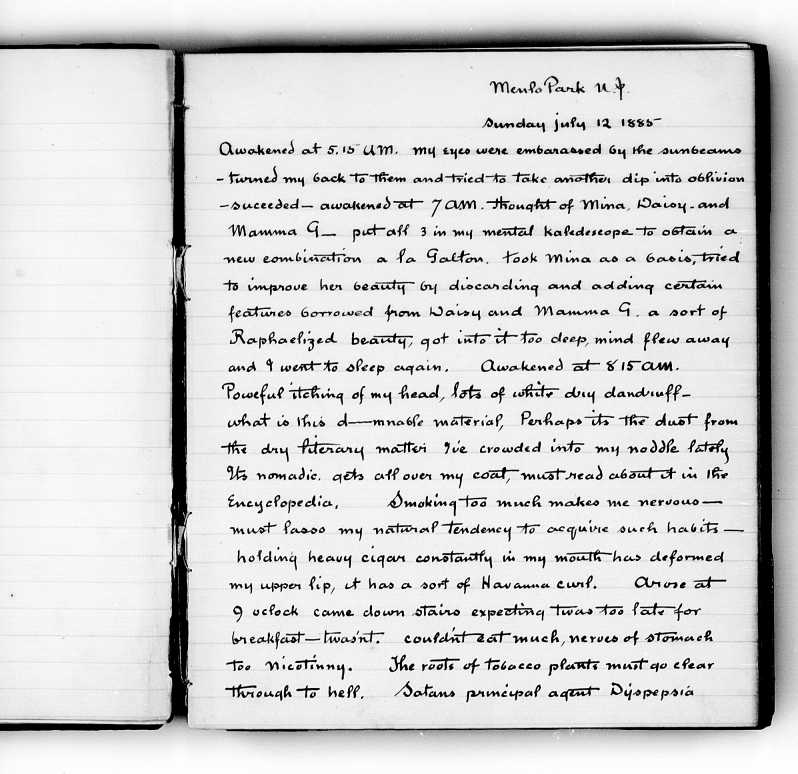 Edison's Diary